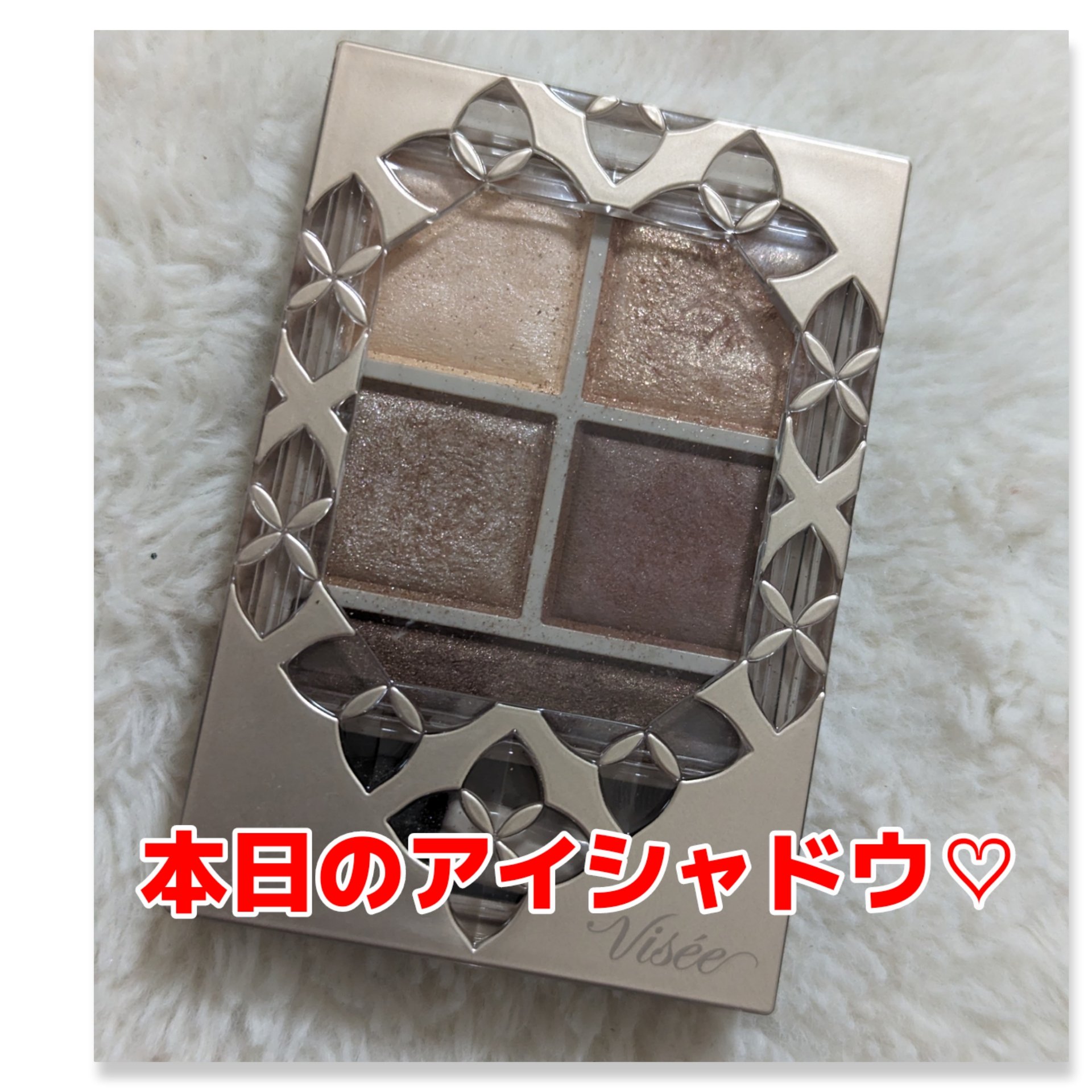 パノラマデザイン アイパレット BR-1 ベージュブラウン/Visée/アイシャドウパレットを使ったクチコミ（1枚目）