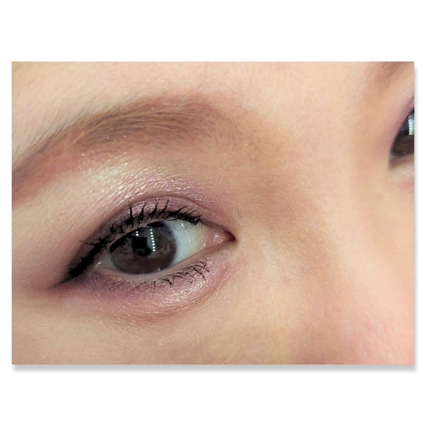 3Dプロデュースシャドウ/KATE/アイシャドウパレットを使ったクチコミ(2枚目)