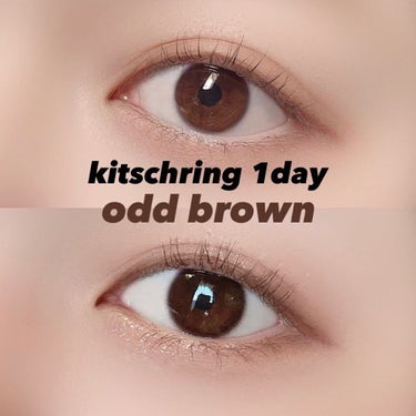 キッチュリング ワンデー(Kitsch Ring 1day) オッドブラウン/OLOLA/ワンデー（１DAY）カラコンを使ったクチコミ（1枚目）
