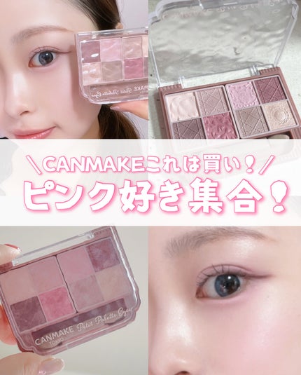 プティパレットアイズ(マットタイプ)/キャンメイク/パウダーアイシャドウを使ったクチコミ(1枚目)