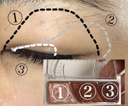 トーンアップアイシャドウ/CEZANNE/アイシャドウパレットを使ったクチコミ(4枚目)