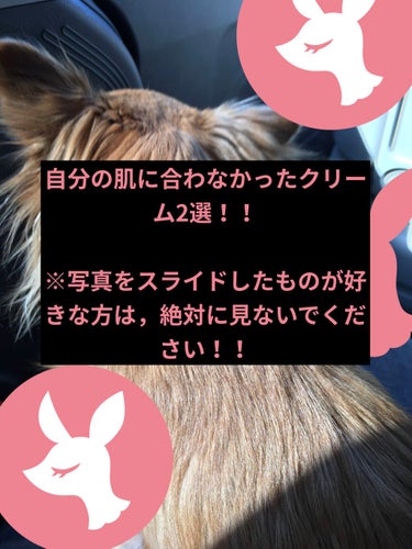 こんにちは！！表紙を愛犬の後ろ姿にしてみました！！可愛い❤️（それはいいから！ww）


昨日は，疲れ果てて，投稿できませんでした。
すみません💦




今回，わたしの肌に合わなかったクリーム2選とい