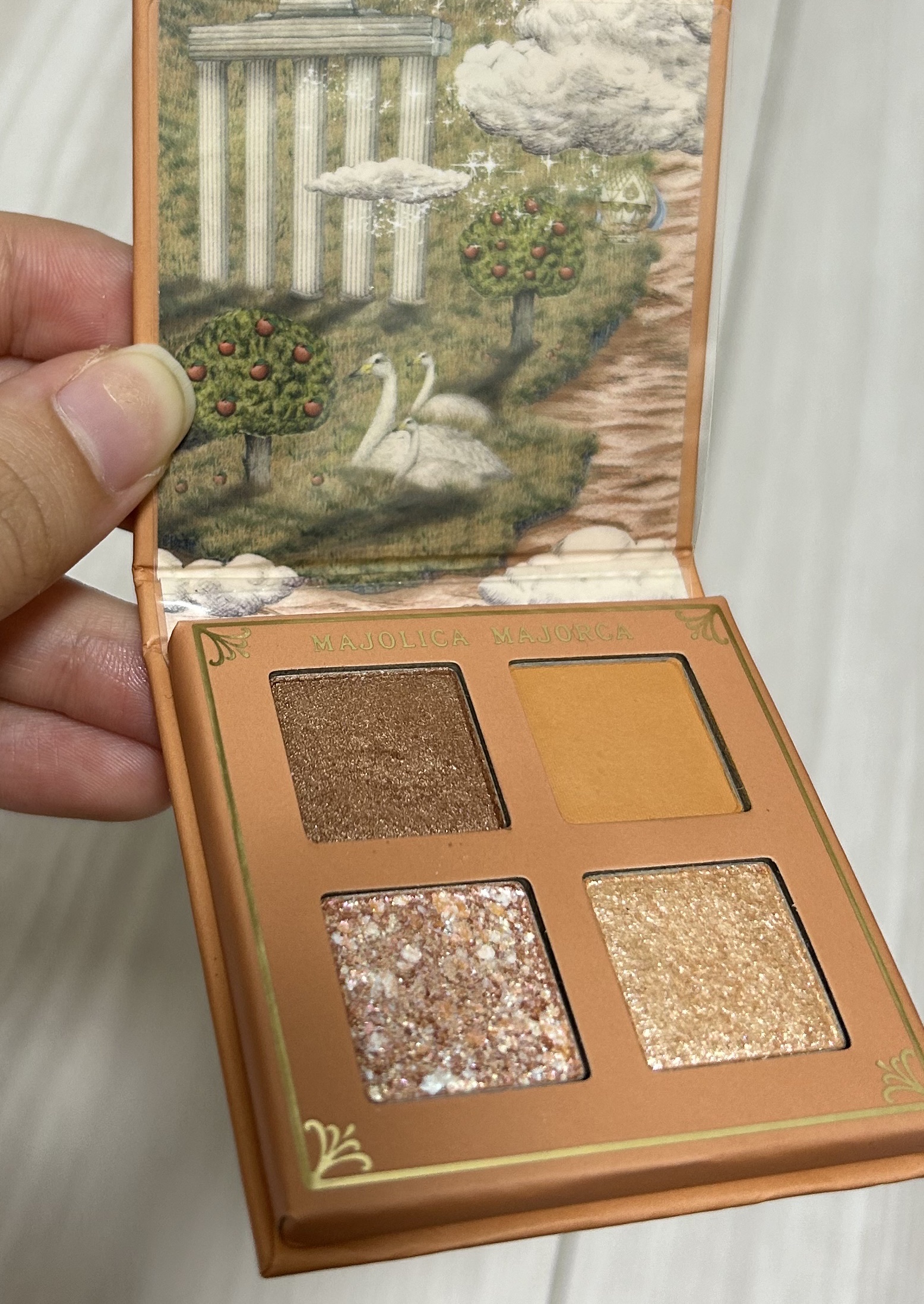 シャドーフラッシュ /MAJOLICA MAJORCA/アイシャドウパレットを使ったクチコミ（1枚目）