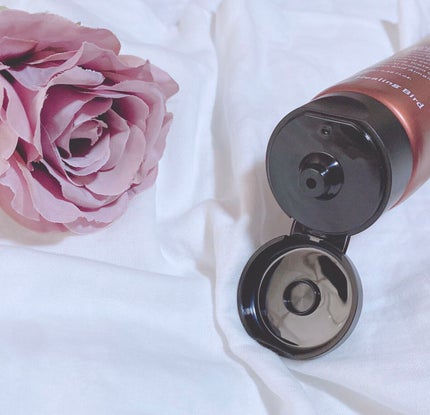 ノーウォッシュ リカバリー ヘアエッセンス クリーム トリートメント/Healing bird/ヘアマスク・ヘアパックを使ったクチコミ(2枚目)