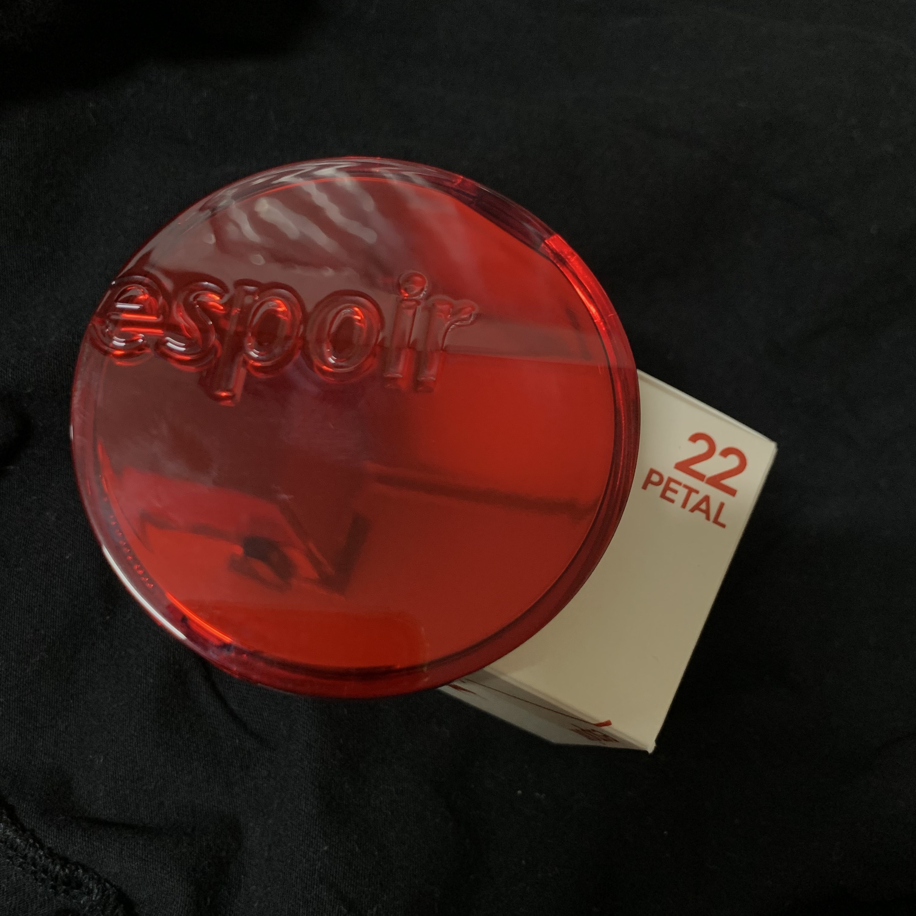 プロテーラービーベルベットカバークッション 22 ペタル/espoir/クッションファンデーションを使ったクチコミ（2枚目）