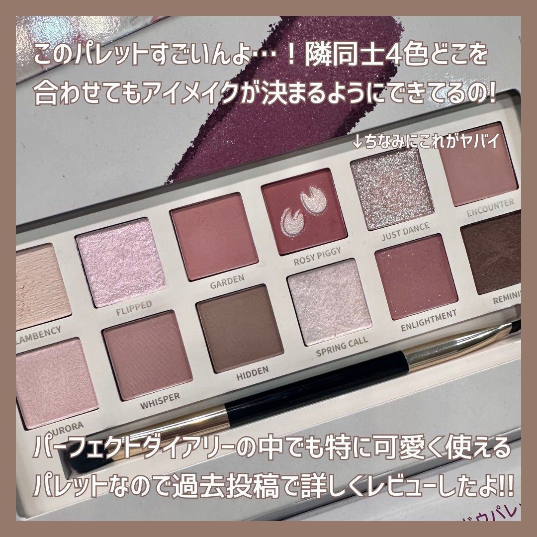 エクスプローラ12色 動物アイシャドウパレット/PERFECT DIARY/アイシャドウパレットを使ったクチコミ(5枚目)