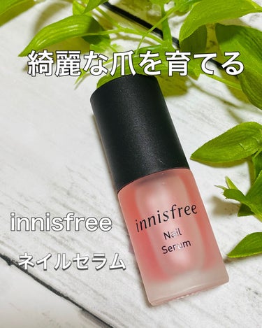 ネイルセラム/innisfree/ネイルオイル・トリートメントを使ったクチコミ（1枚目）