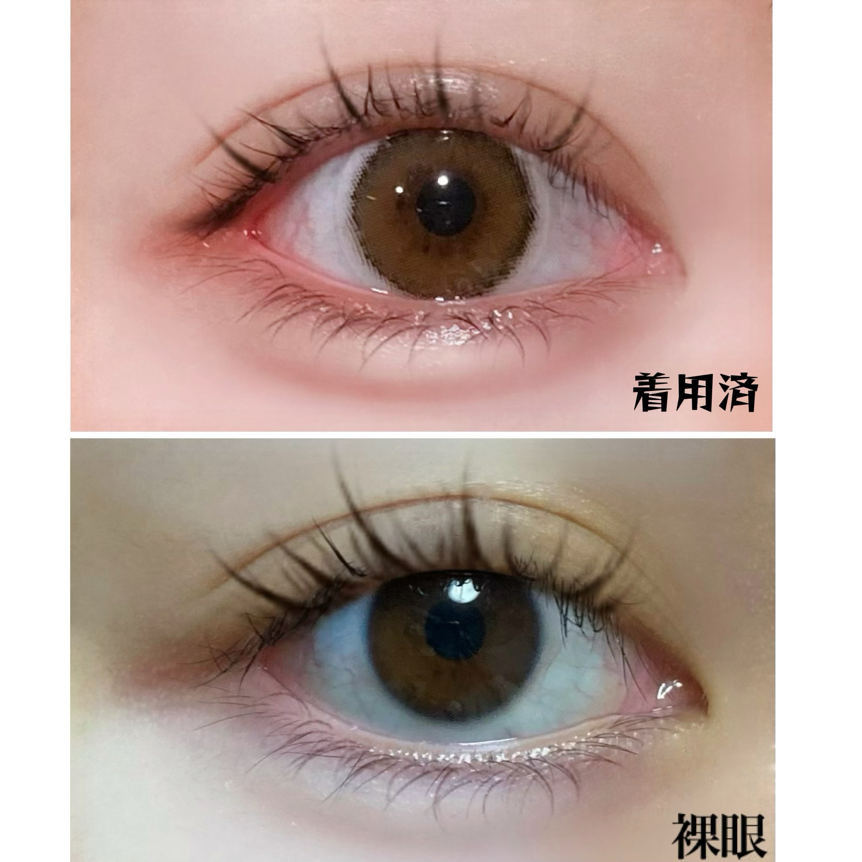 eye closet iDOL Series CANNA ROSE 1month ヌードベージュ/EYE CLOSET/１ヶ月（１MONTH）カラコンを使ったクチコミ（2枚目）