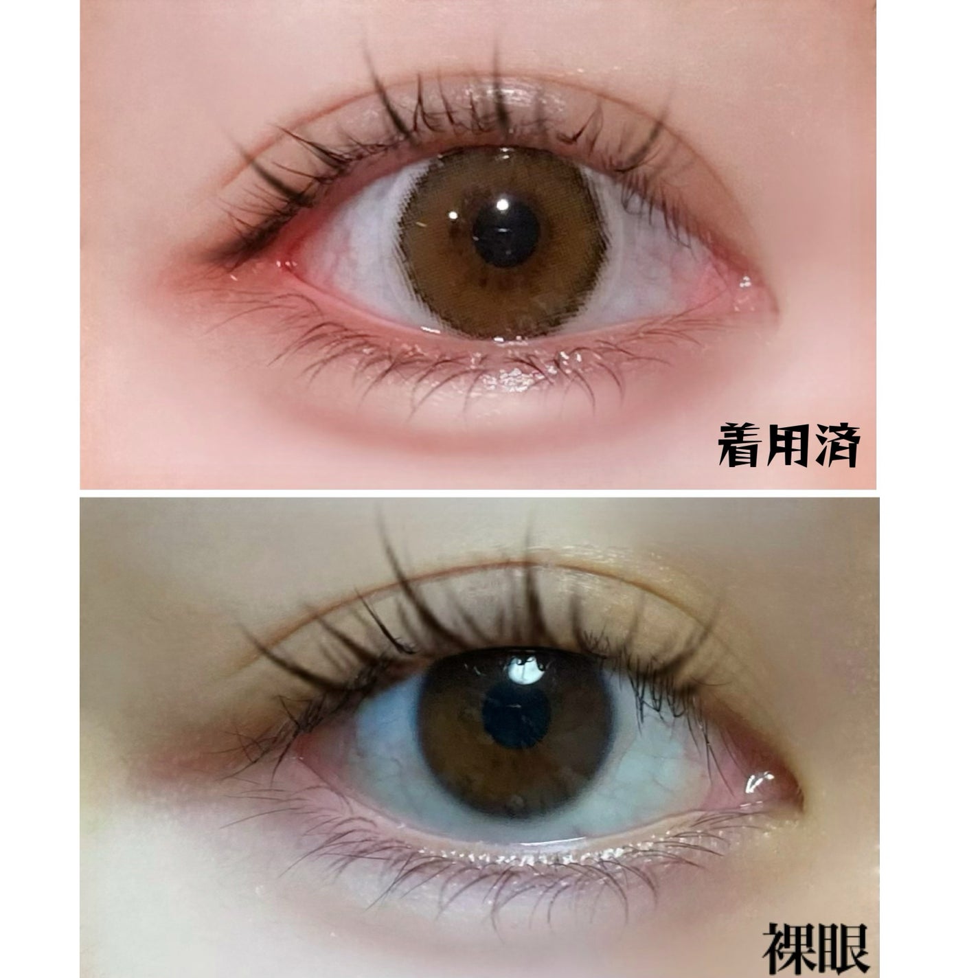 eye closet iDOL Series CANNA ROSE 1month/EYE CLOSET/1ヶ月(1MONTH)カラコンを使ったクチコミ(2枚目)