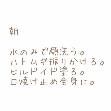 ハトムギ化粧水(ナチュリエ スキンコンディショナー R )/ナチュリエ/化粧水を使ったクチコミ（2枚目）