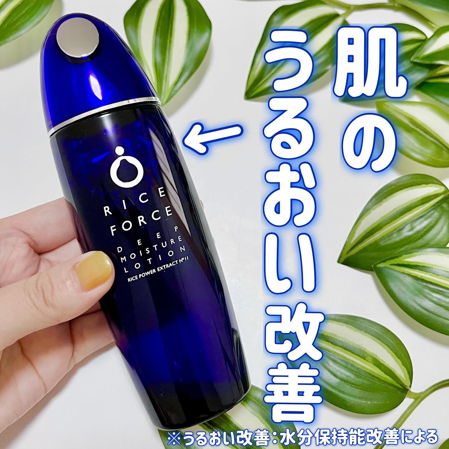 【新品】ライスフォース ディープモイスチュア ローション 120mL　3本 51+gsRnAHhL._AC_UF350,