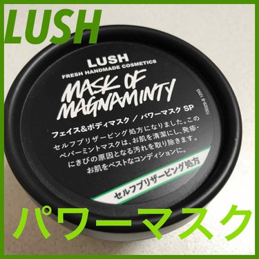 LUSH フェイス&ボディマスク パワーマスクSP

前使ってたものがなくなったので
ツイッターでLUSHで毛穴が消えた！というのを見て、お試しでLUSHに変えてみました。
使い方試行錯誤中です。顔のみ