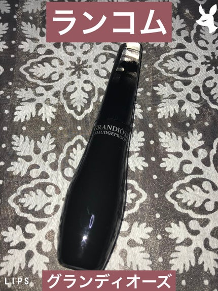グランディオーズ/LANCOME/マスカラを使ったクチコミ(1枚目)