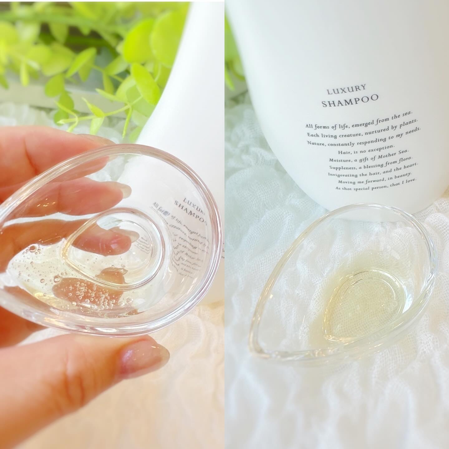 Lilou リル ラグジュアリーシャンプー/トリートメント/Lilou/市販シャンプーを使ったクチコミ（3枚目）