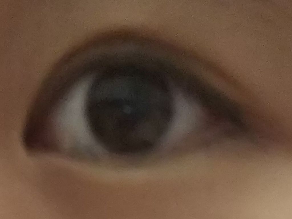 アイラッシュカーラー /SHISEIDO/ビューラーを使ったクチコミ(3枚目)