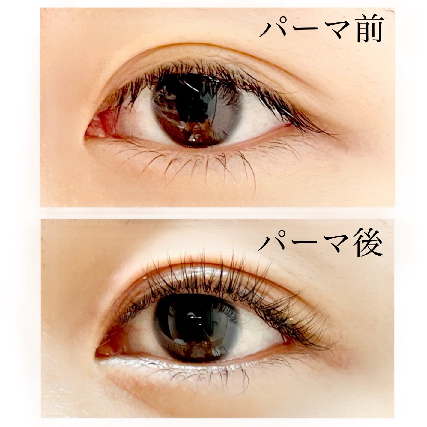 パーマイットアップアイラッシュパーマキット/Loingz/その他キットセットを使ったクチコミ(4枚目)