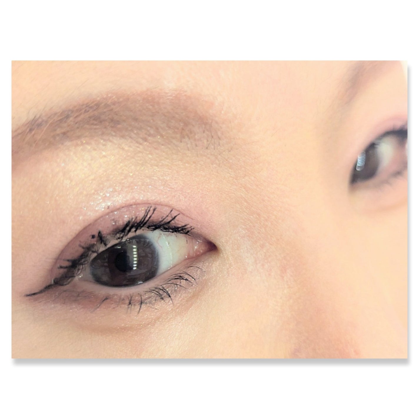 ミャオパウズアイシャドウパレット/MilleFée/アイシャドウパレットを使ったクチコミ(2枚目)