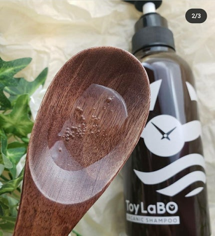 オーガニックシャンプー/オーガニックトリートメント/ToyLaBO/市販シャンプーを使ったクチコミ(2枚目)