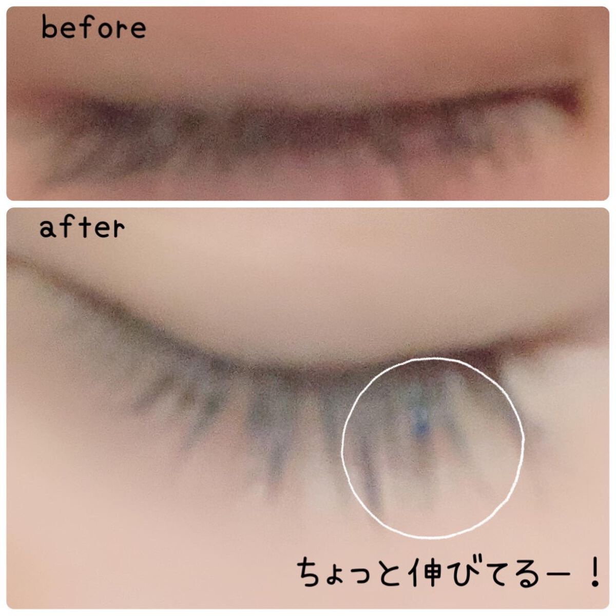 ザ マスカラ ベース/ANNA SUI/マスカラ下地を使ったクチコミ(2枚目)