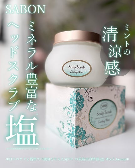 ヘッドスクラブ リフレッシング(ミント)/SABON/ヘッドスクラブを使ったクチコミ(1枚目)