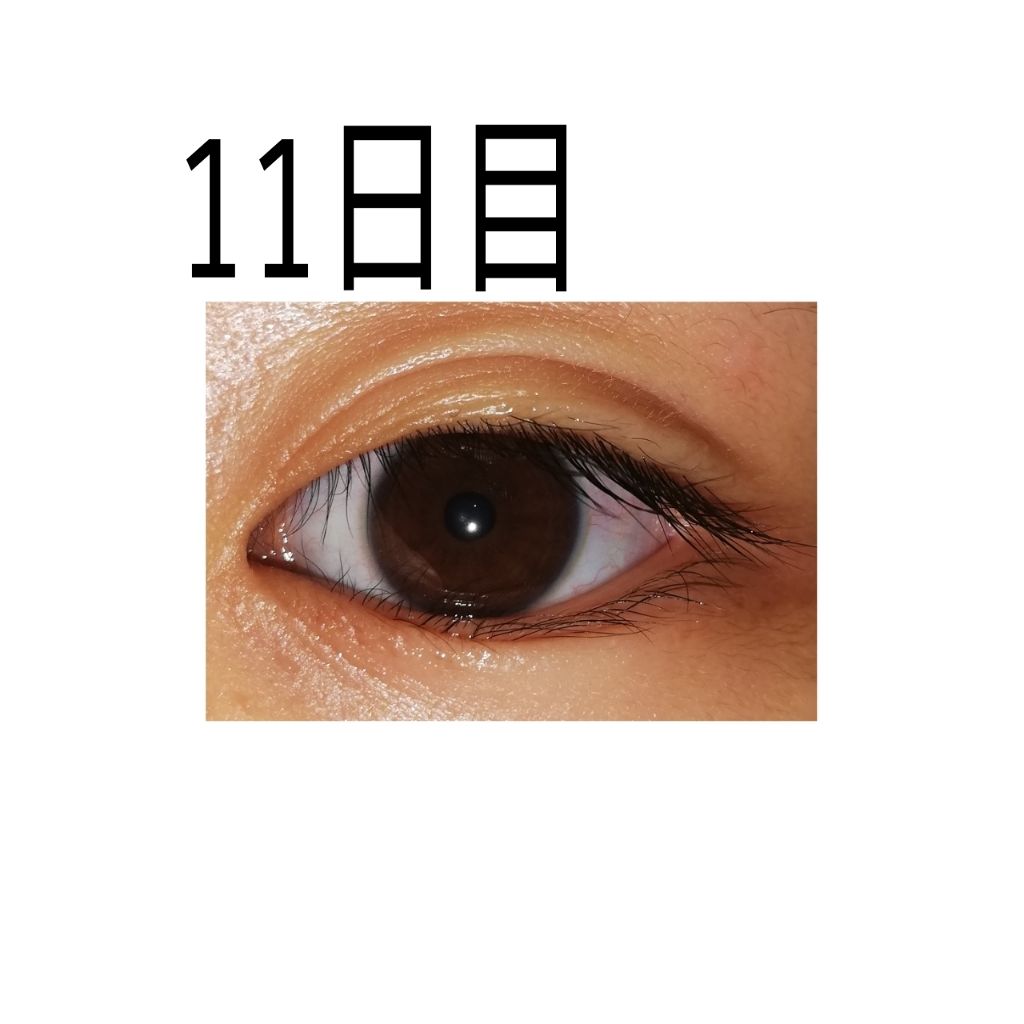 ローヤルゼリー配合 栄養ローション/DAISO/美容液を使ったクチコミ（2枚目）