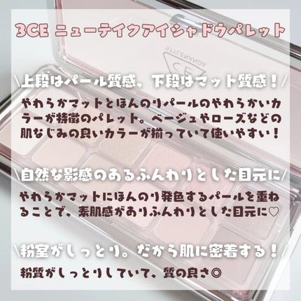 3CE ニューテイク アイシャドウパレット/3CE/アイシャドウパレットを使ったクチコミ(4枚目)