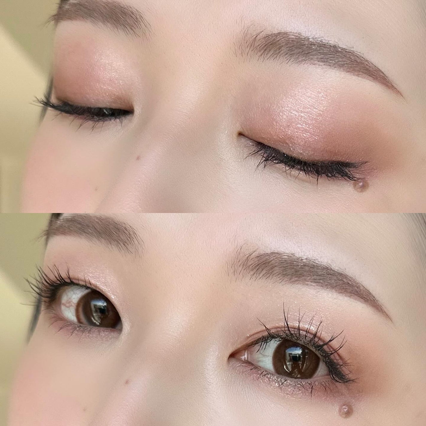 SUQQU アイ&フェイス コンパクト/SUQQU/アイシャドウパレットを使ったクチコミ(2枚目)