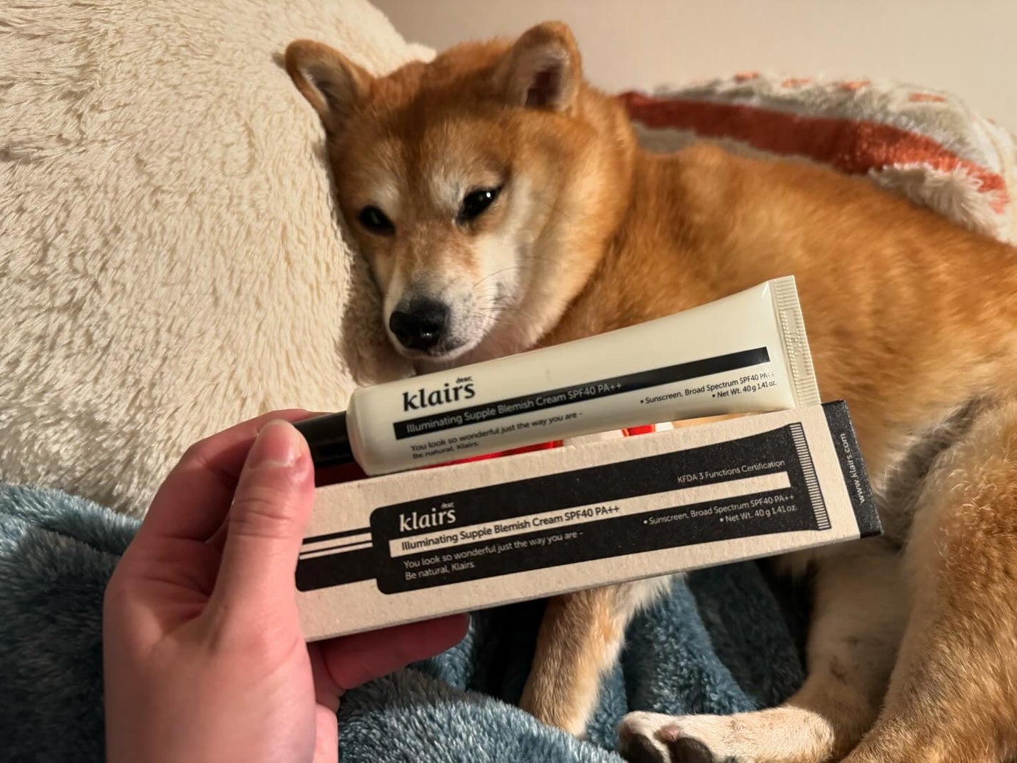 イルミネーティングサプルブレミッシュクリーム(40ml)/Klairs/化粧下地を使ったクチコミ(1枚目)