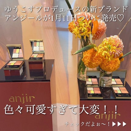 イレジスタブル アイシャドウ/anjir/アイシャドウパレットを使ったクチコミ(2枚目)