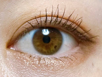 クイックラッシュカーラー/キャンメイク/マスカラ下地を使ったクチコミ(2枚目)