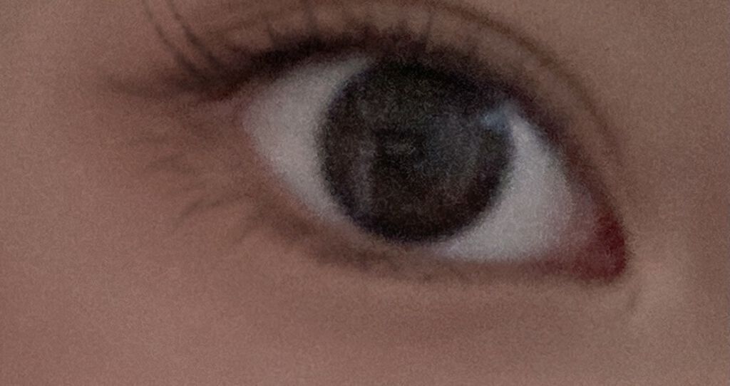 まつげ美容液EX/CEZANNE/まつげ美容液を使ったクチコミ（1枚目）