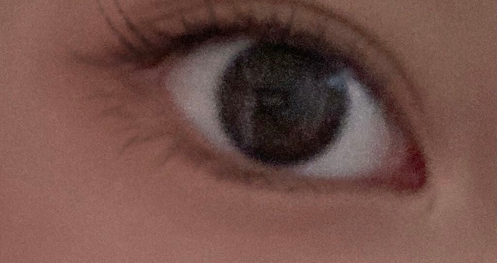 まつげ美容液EX/CEZANNE/まつげ美容液を使ったクチコミ(1枚目)