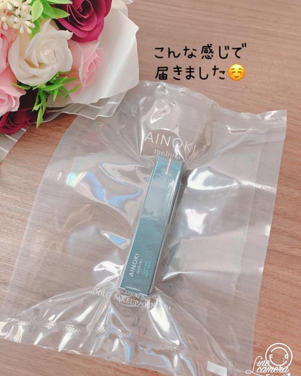 フォレスト フィール シアー リキッド/AINOKI mebuki/リキッドアイシャドウを使ったクチコミ(6枚目)