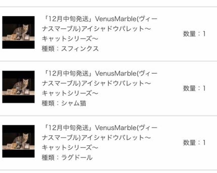 VenusMarble 9色アイシャドウパレット/Venus Marble/アイシャドウパレットを使ったクチコミ(4枚目)