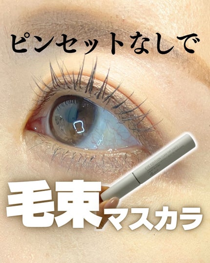 エテュセ アイエディション(ラッシュトップコート) 01 ラスターブラック/ettusais/マスカラトップコートを使ったクチコミ(1枚目)