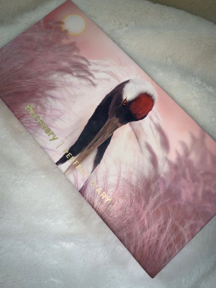 エクスプローラ12色 動物アイシャドウパレット/PERFECT DIARY/アイシャドウパレットを使ったクチコミ(1枚目)