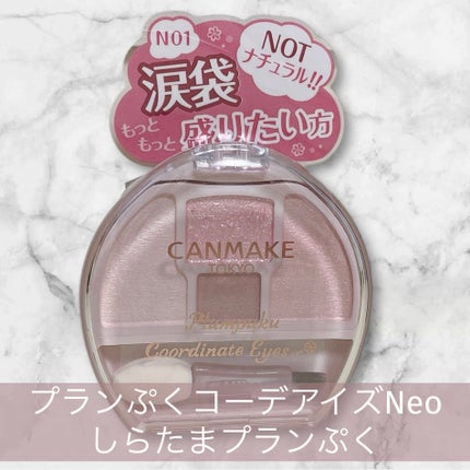 プランぷくコーデアイズNeo/キャンメイク/アイシャドウを使ったクチコミ(1枚目)