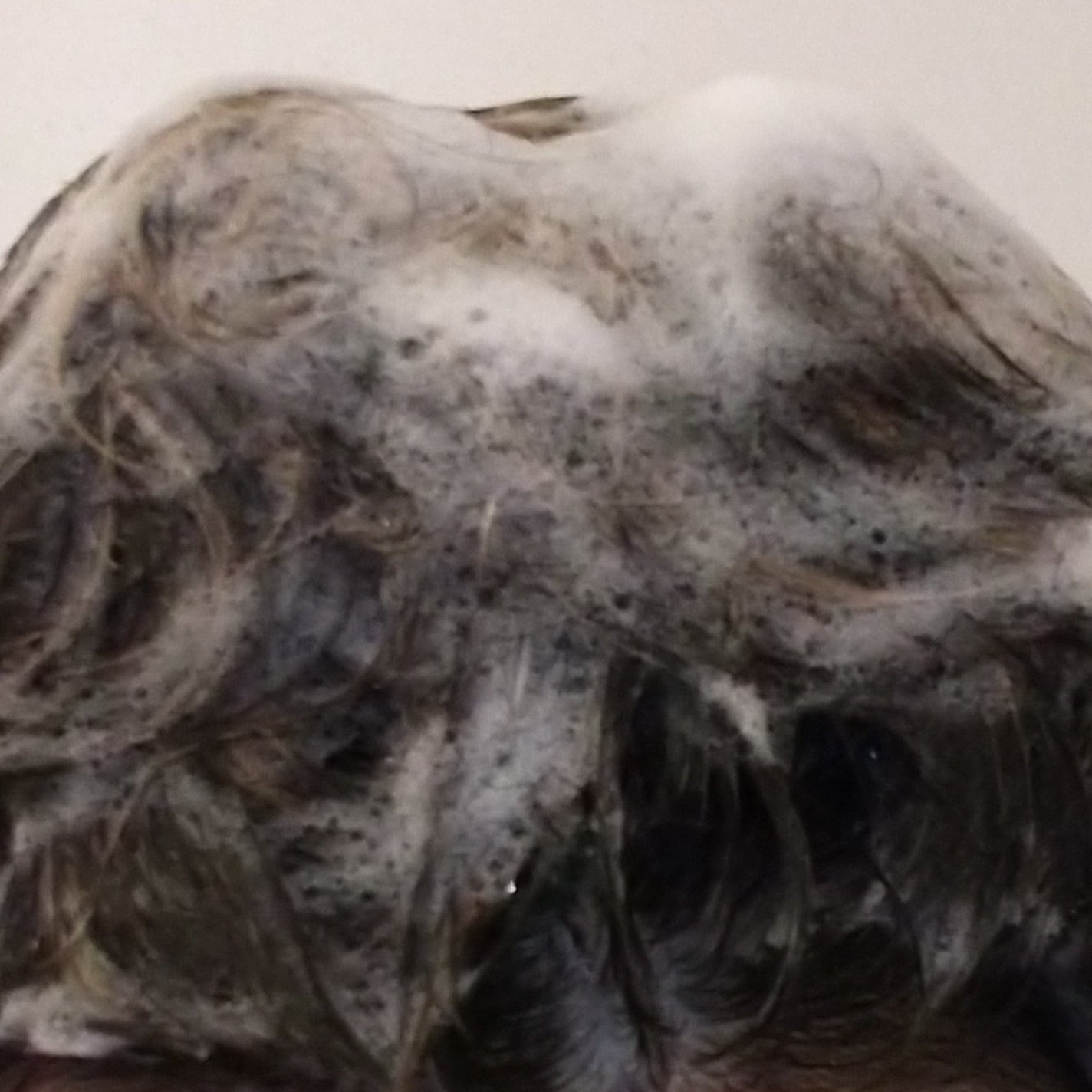 スリープテック リペア シャンプー/ヘアトリートメント/NeNe Night/市販シャンプーを使ったクチコミ(3枚目)