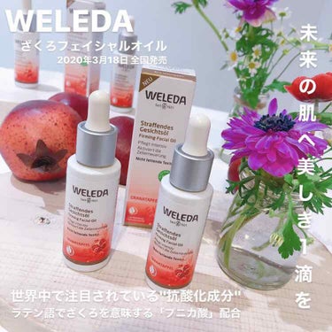 ざくろ フェイシャルオイル/WELEDA/フェイスオイルを使ったクチコミ（1枚目）