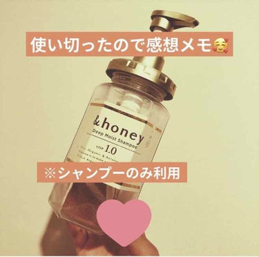 ディープモイスト シャンプー1.0／ヘアトリートメント2.0/&honey/シャンプー・コンディショナーを使ったクチコミ（1枚目）