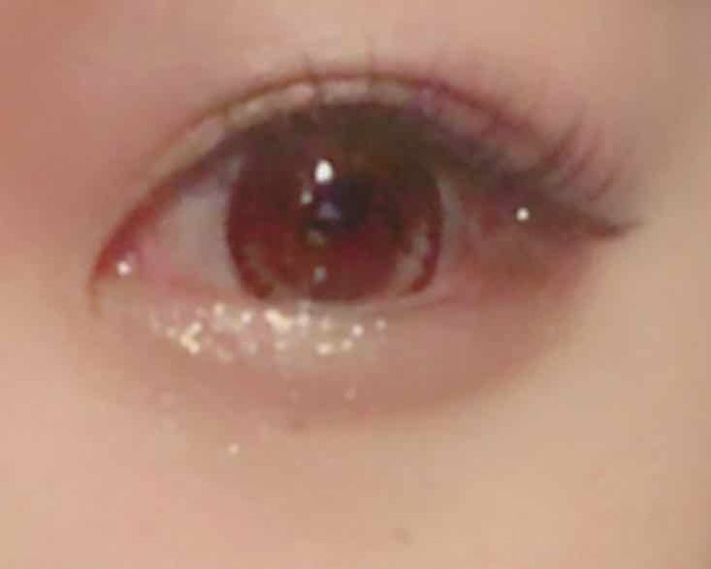 プロ シングル シャドウ/CLIO/単色アイシャドウを使ったクチコミ（2枚目）