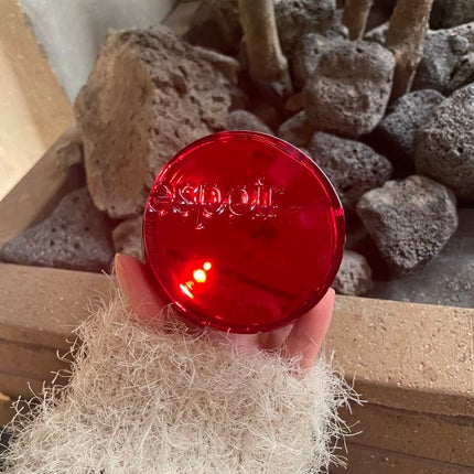 プロテーラービーベルベットカバークッション/espoir/クッションファンデーションを使ったクチコミ(1枚目)