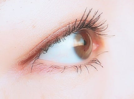 スキニーリッチシャドウ/excel/アイシャドウパレットを使ったクチコミ(3枚目)