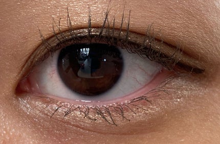 ãã³ãªãŒã«ãã£ãã¯ã¹ãã¹ã«ã©/rom&nd/ãã¹ã«ã©ã䜿ã£ãã¯ãã³ãïŒ2æç®ïŒ