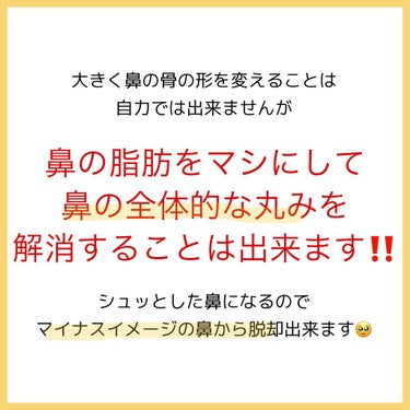 お鼻リフォーマー ハナハナ/グッズマン/その他を使ったクチコミ（4枚目）