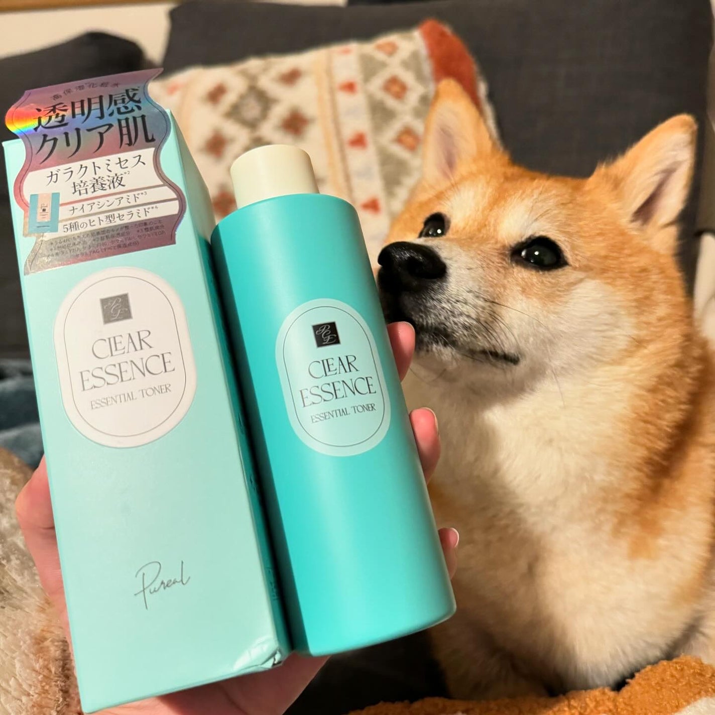 クリアエッセンス エッセンシャルトナー/ピュレア/化粧水を使ったクチコミ(1枚目)