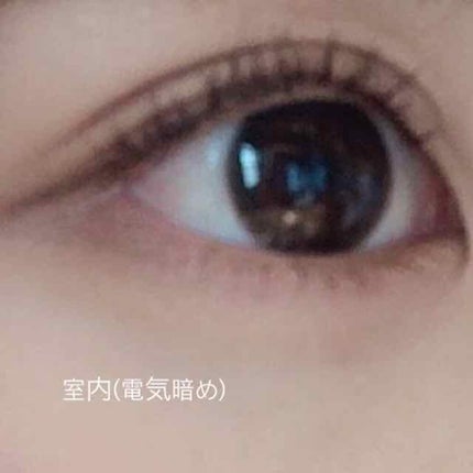 ReVIA 1month/ReVIA/1ヶ月(1MONTH)カラコンを使ったクチコミ(2枚目)