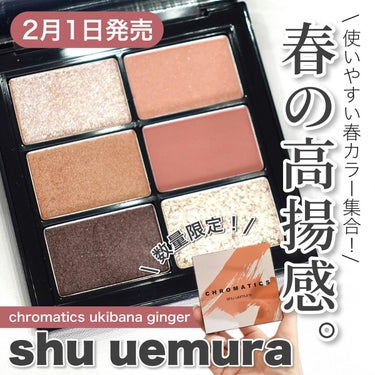 クロマティックス ウキバナジンジャー/shu uemura/パウダーアイシャドウを使ったクチコミ（1枚目）