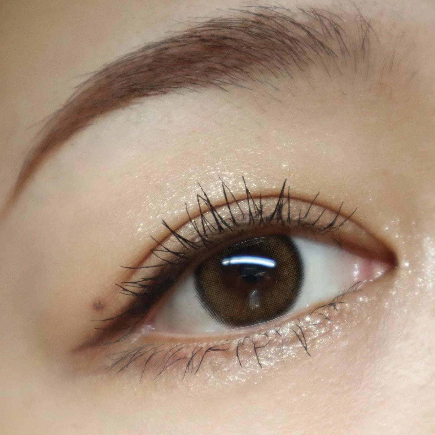 アイカラーレーション/LUNASOL/アイシャドウパレットを使ったクチコミ(7枚目)