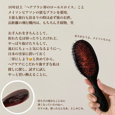 Brosse à cheveux pneumatique, 100% sanglier - Grand modèle/Altesse/ヘアブラシを使ったクチコミ（2枚目）